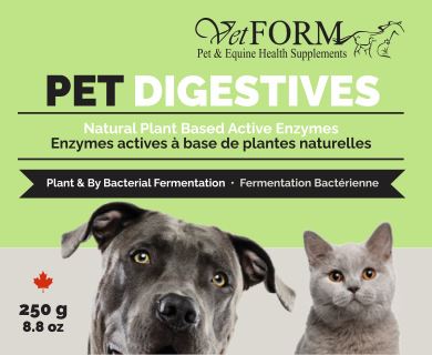 Pet Digestives  (VetForm) Available until May 15, 2024